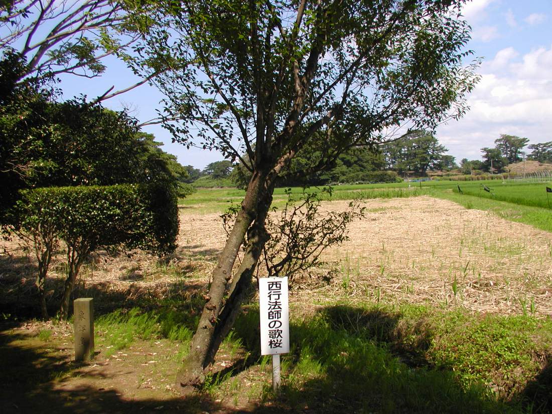 象潟干満珠寺（Ｈ２１） 018