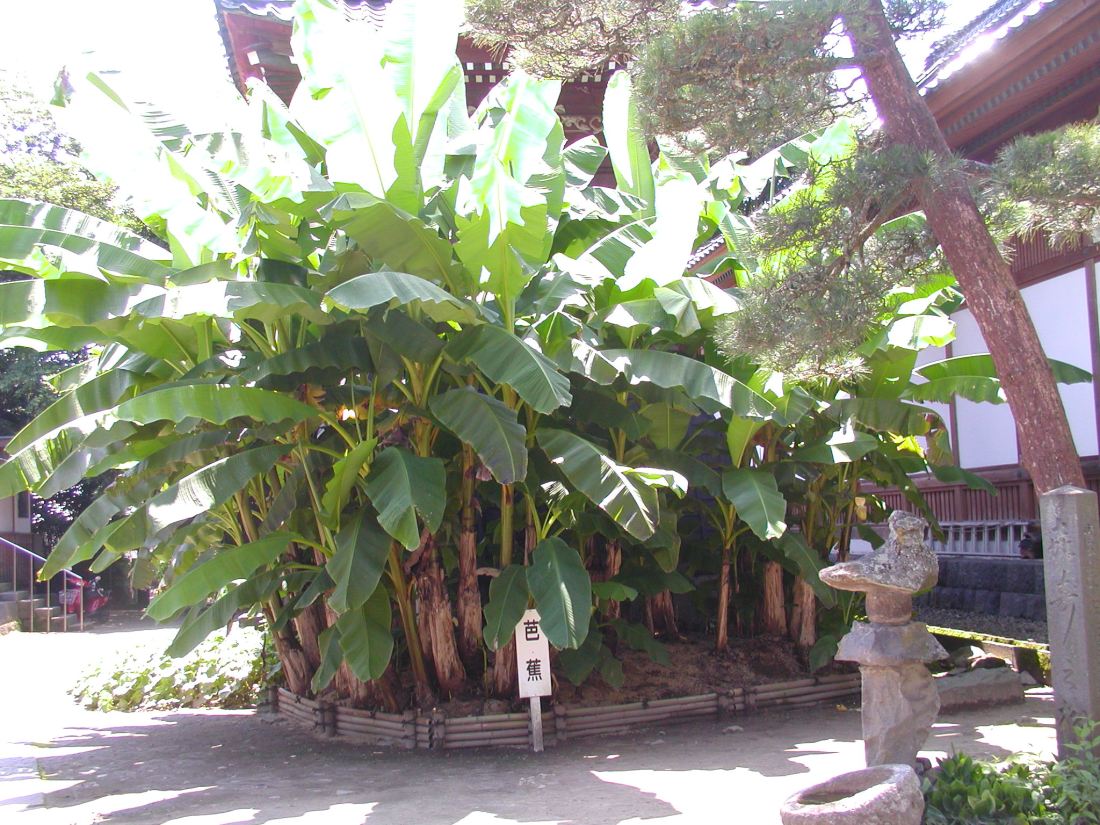 象潟干満珠寺（Ｈ２１） 014