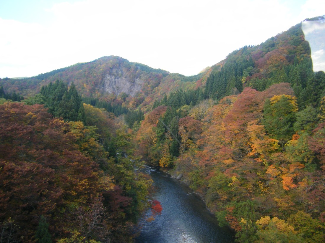 026（貞順・峡谷）