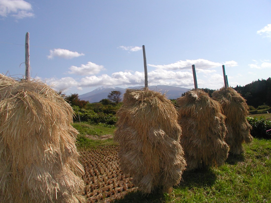 ＡＩＵ俳句・鳥海山 063