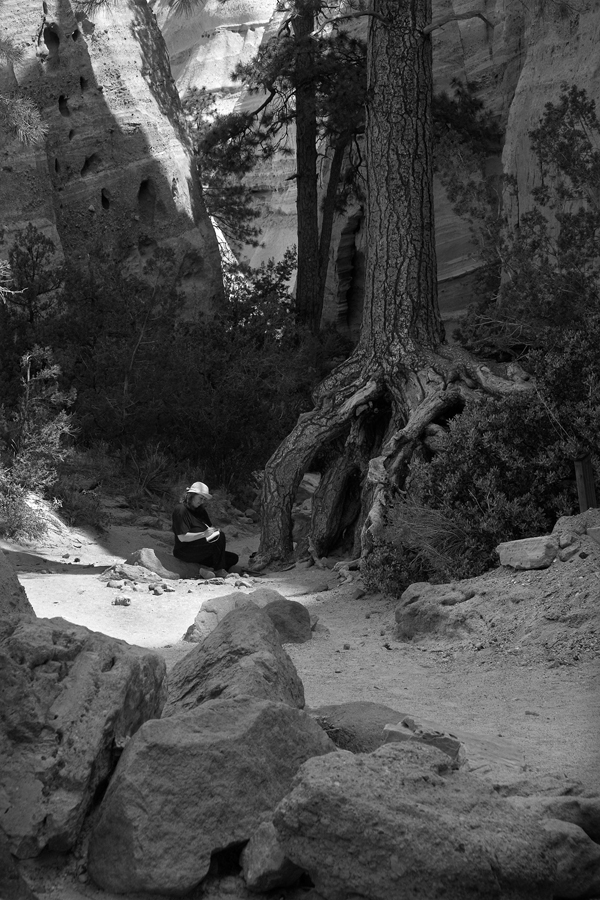 18 x 12 ultrachrome photograph