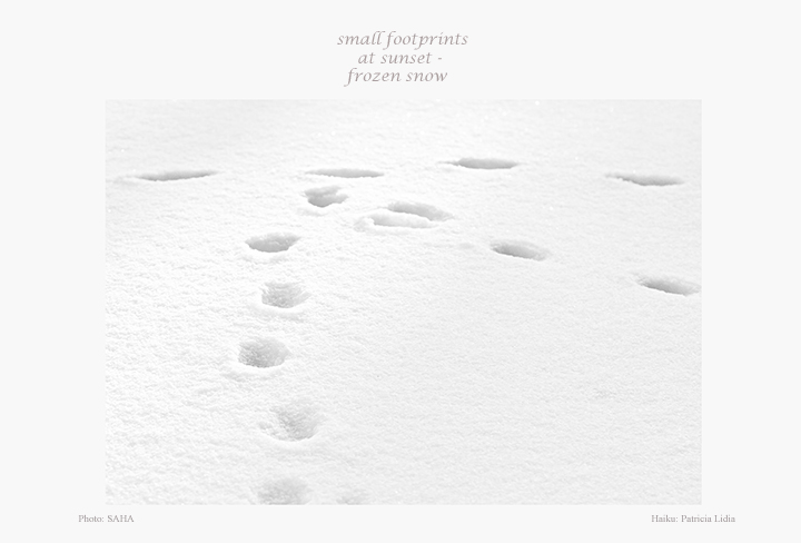 Small footprints fb