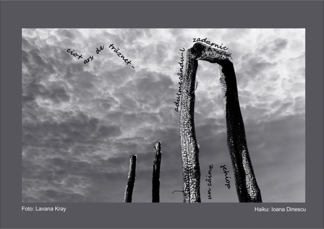 caine-schiop (June 28)