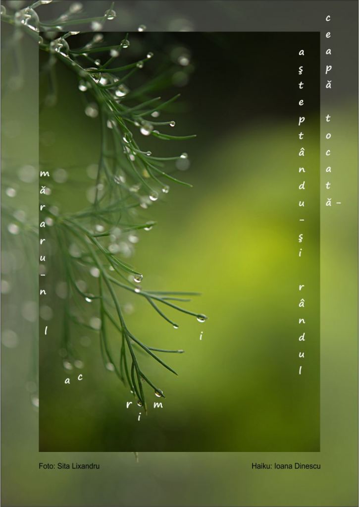 marar-in-lacrimi1(June 2)