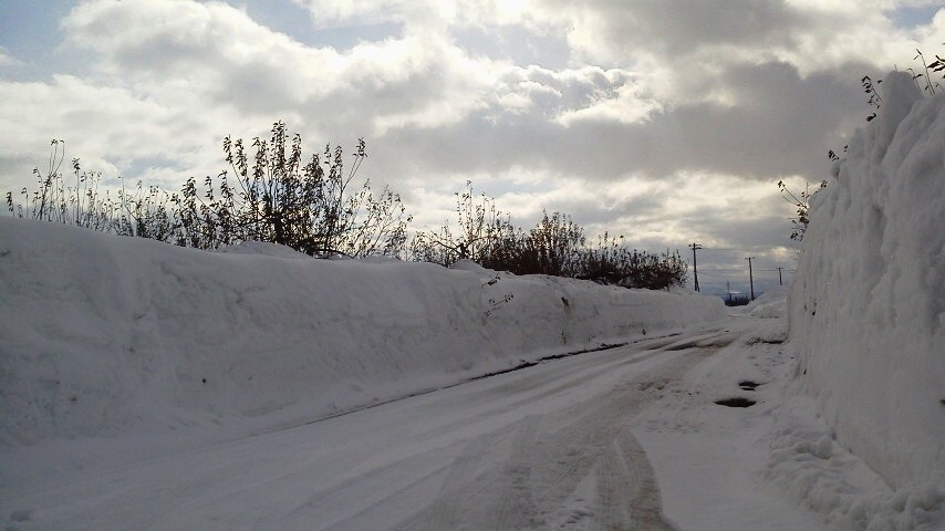 雪のりんご園（５）