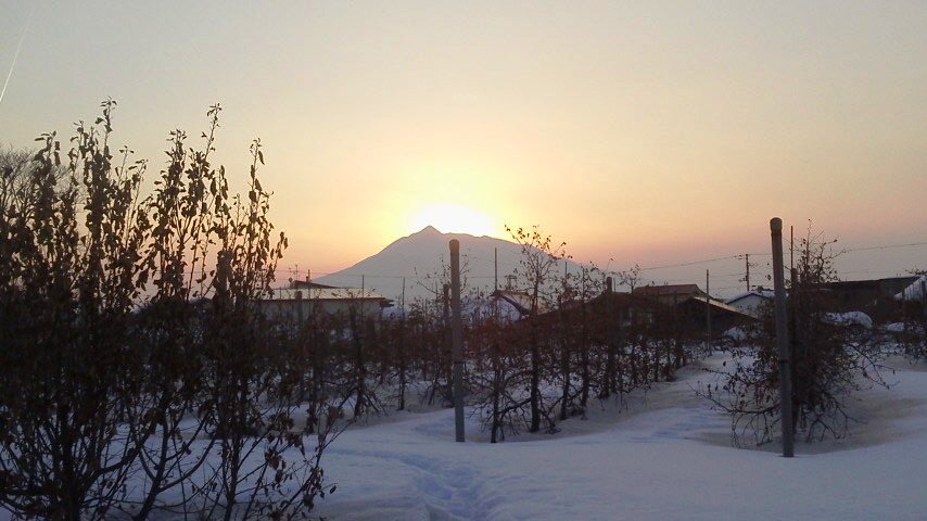 雪のりんご園（６）