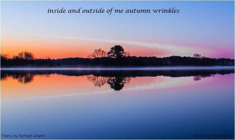 Autumn Wrinkles