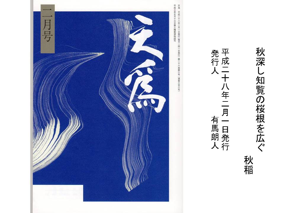 知覧の桜（天為）